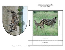 Zebra-Merkzettel-2.pdf